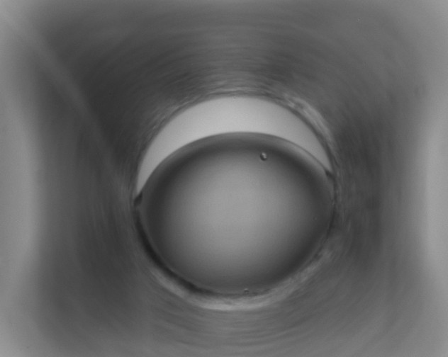 X0000111640017200907241120