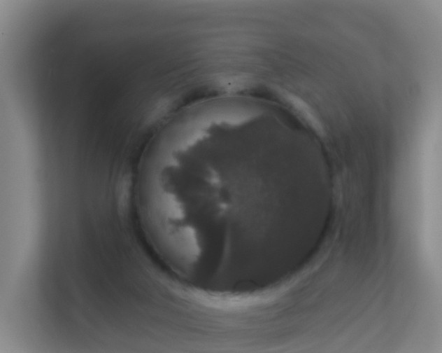 X0000111640018200907241120