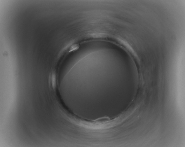 X0000111640019200907241120