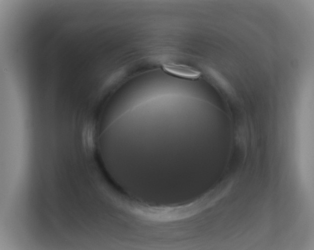 X0000111640023200907241120