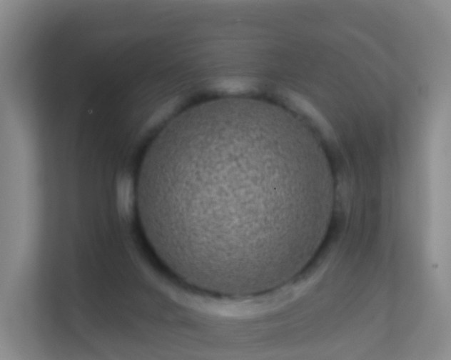 X0000111640024200907241120