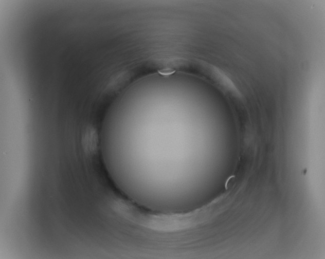 X0000111640025200907241120