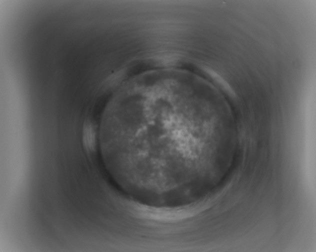 X0000111640026200907241120