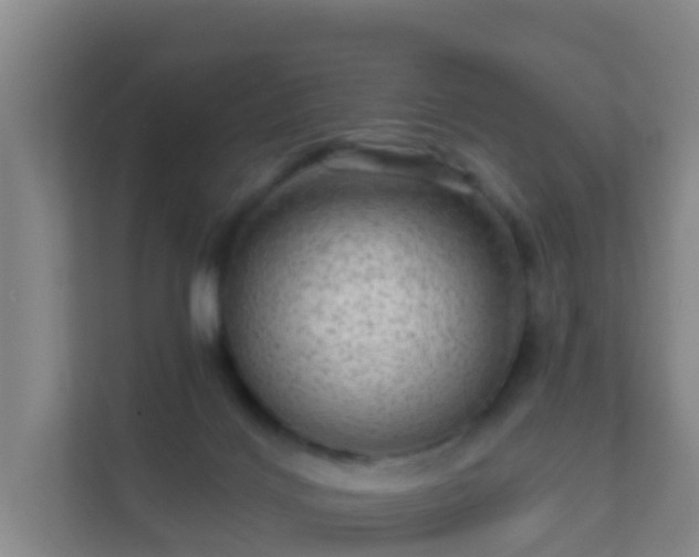 X0000111640028200907241120