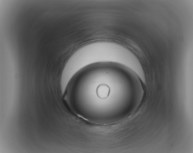 X0000111640029200907241120