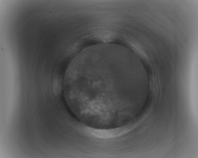 X0000111640030200907241120