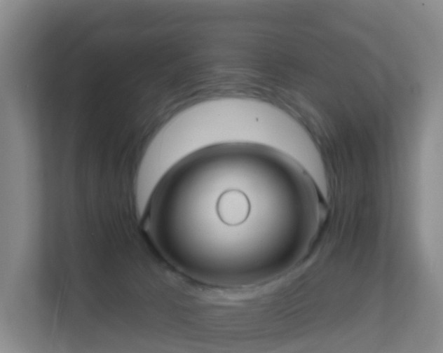 X0000111640033200907241120