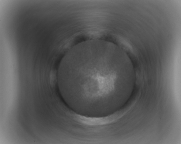 X0000111640034200907241120