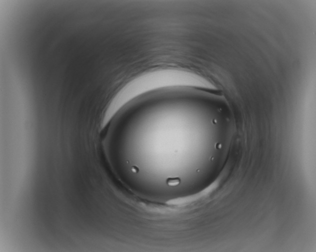 X0000111640036200907241120