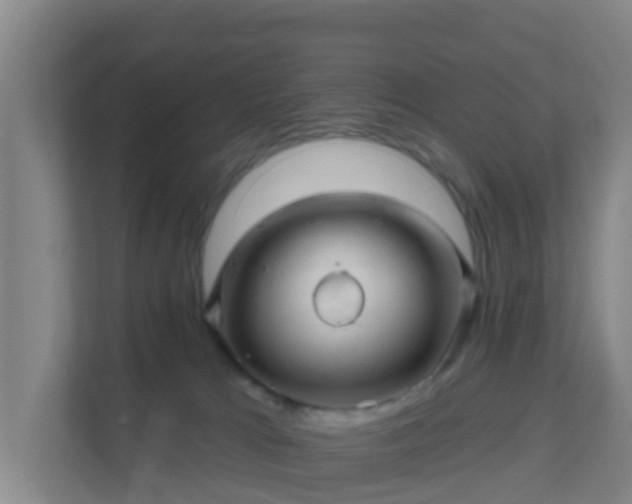 X0000111640037200907241120