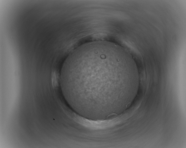 X0000111640038200907241120