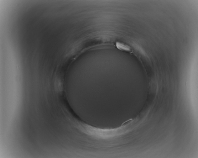 X0000111640039200907241120