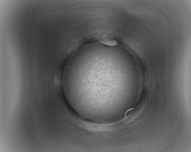 X0000111640040200907241120