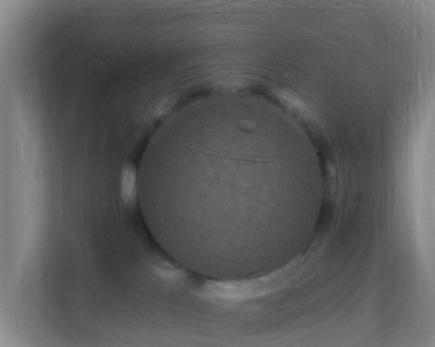 X0000111640041200907241120