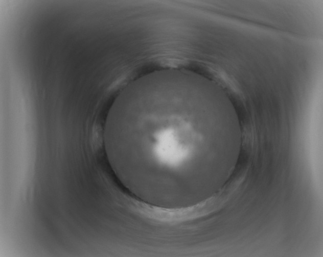 X0000111640043200907241120