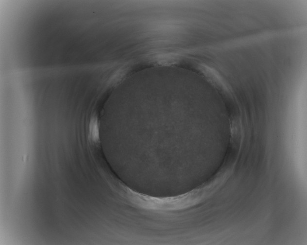 X0000111640046200907241120