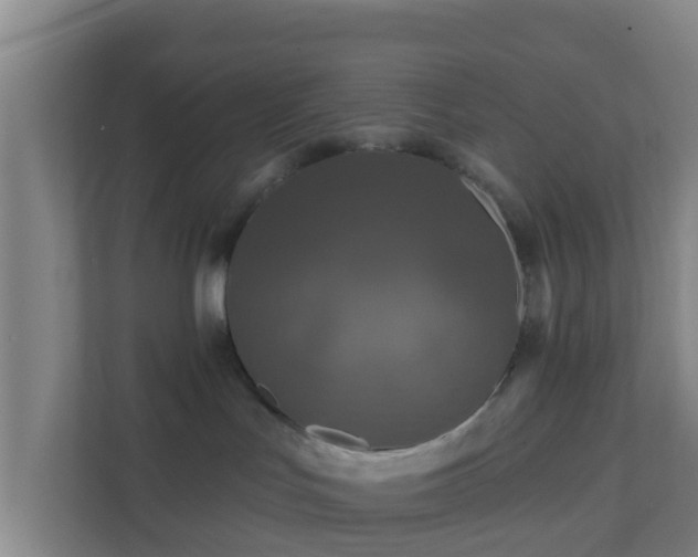 X0000111640047200907241120