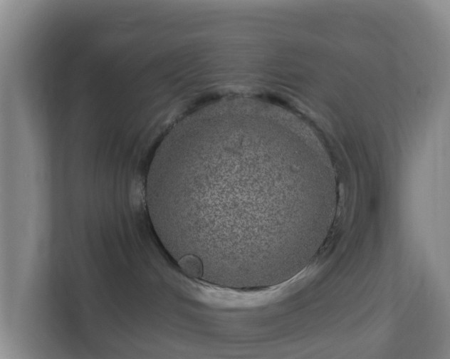 X0000111640048200907241120