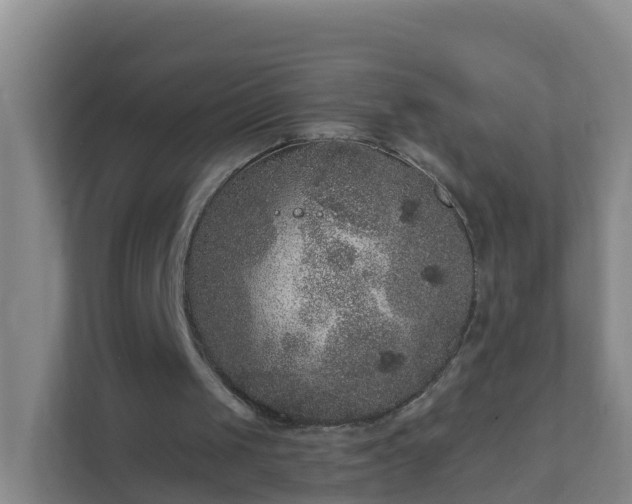 X0000111640049200907241119