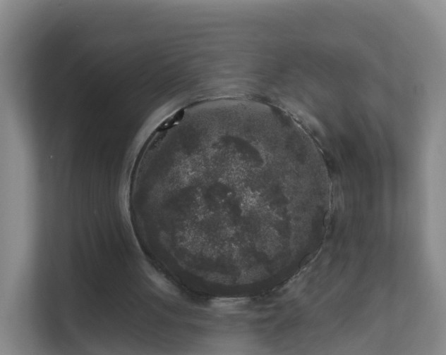 X0000111640051200907241119