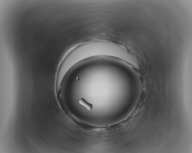 X0000111640052200907241119