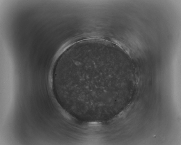 X0000111640053200907241119