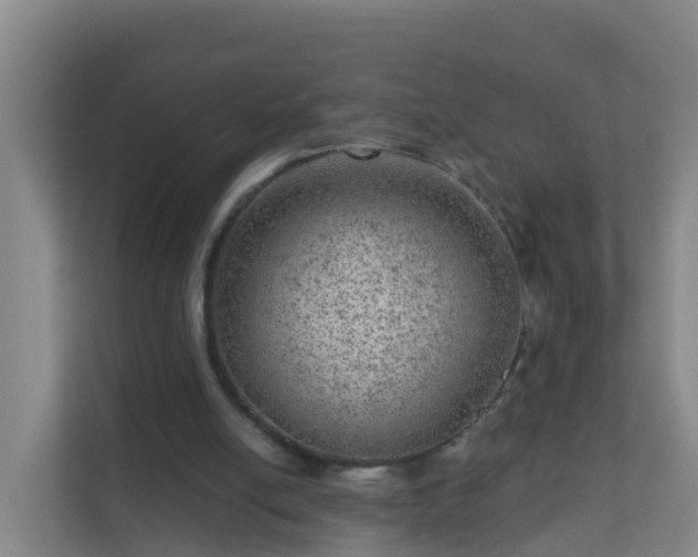 X0000111640054200907241119