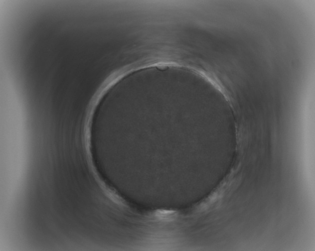 X0000111640055200907241119