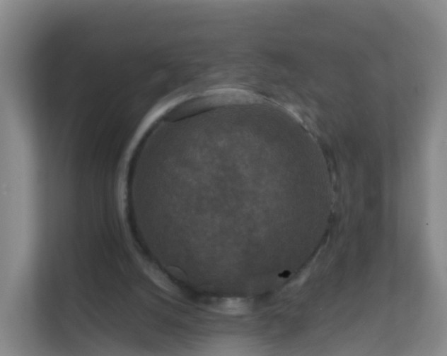 X0000111640056200907241119