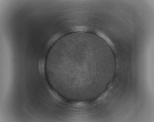 X0000111640058200907241119