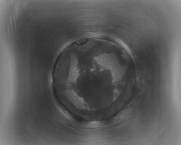 X0000111640059200907241119