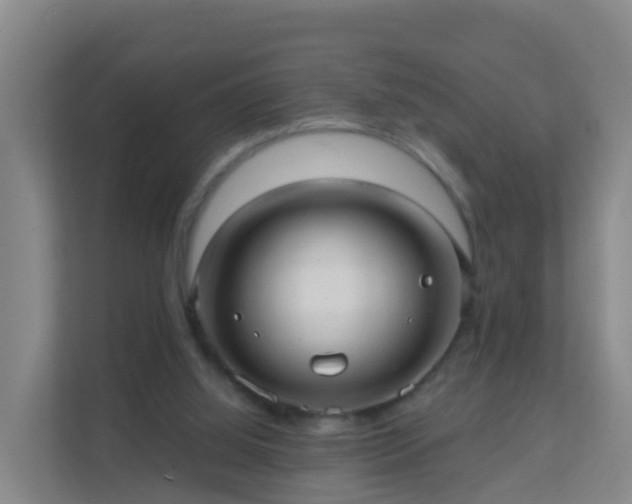 X0000111640060200907241119