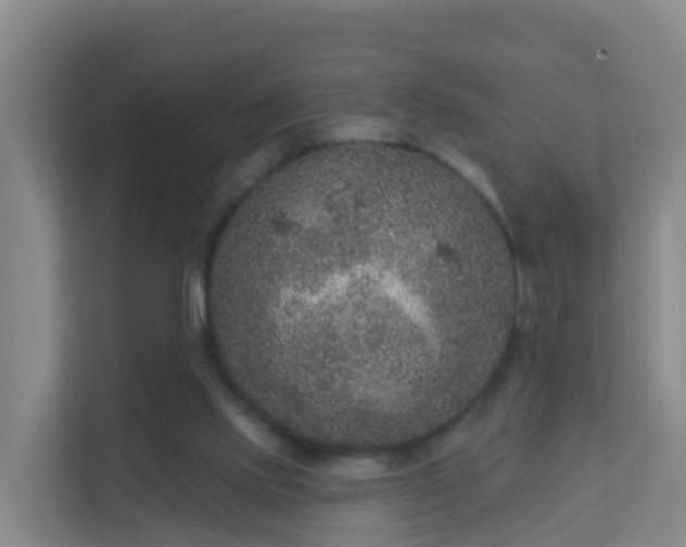 X0000111640061200907241119