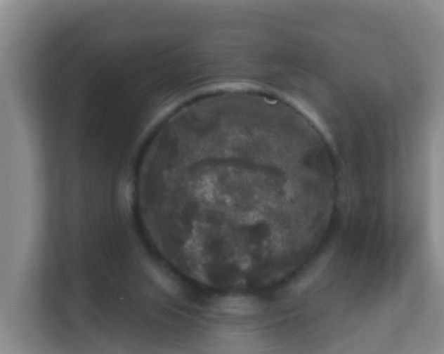 X0000111640063200907241119