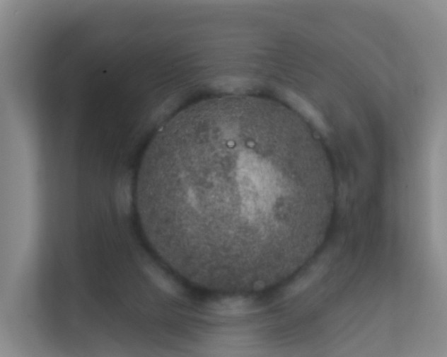 X0000111640065200907241119