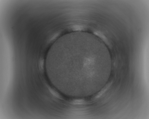 X0000111640066200907241119