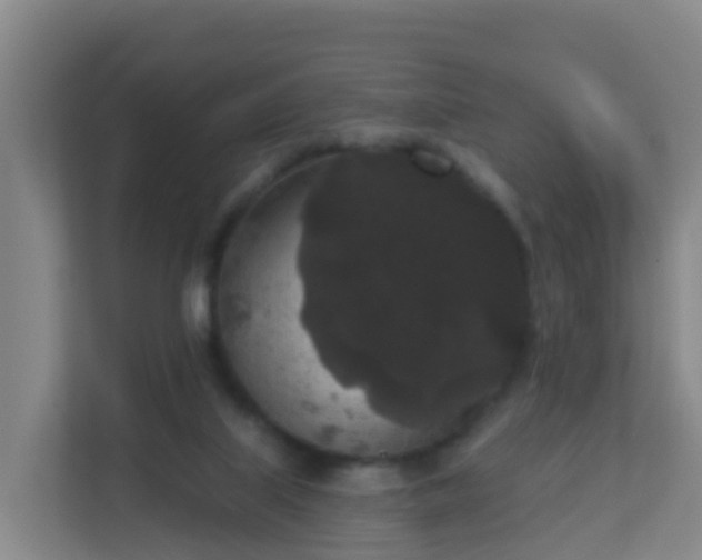 X0000111640067200907241119