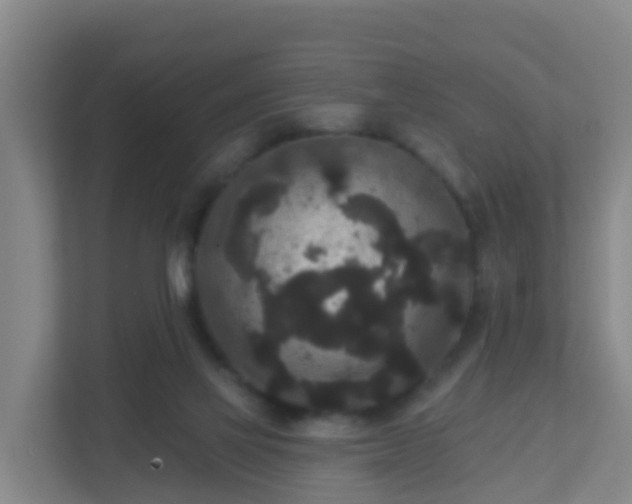 X0000111640069200907241119