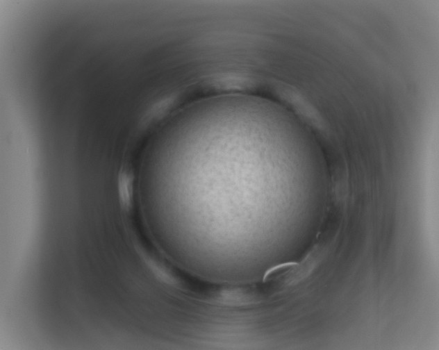 X0000111640070200907241119