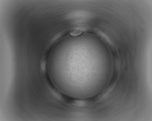 X0000111640071200907241119