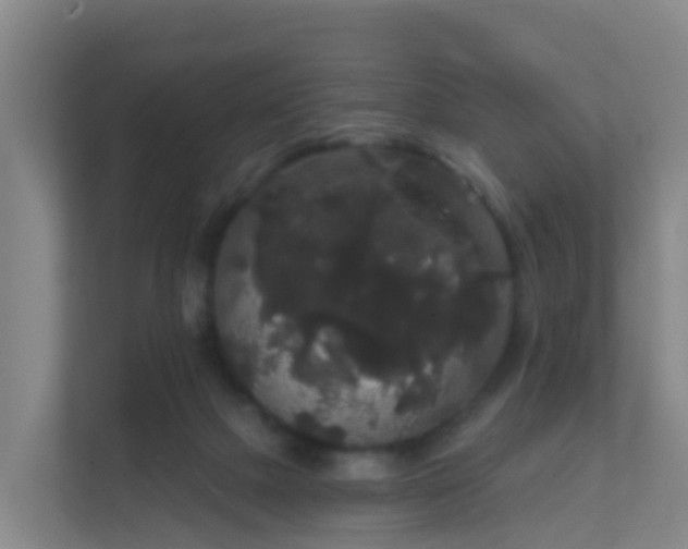 X0000111640073200907241119