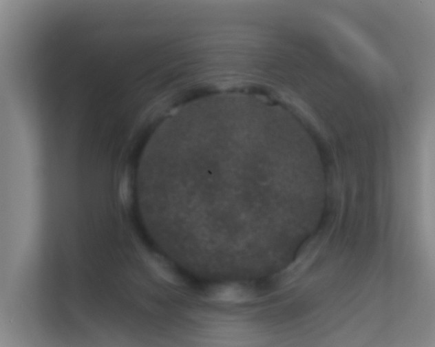 X0000111640074200907241119