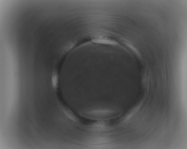 X0000111640076200907241119