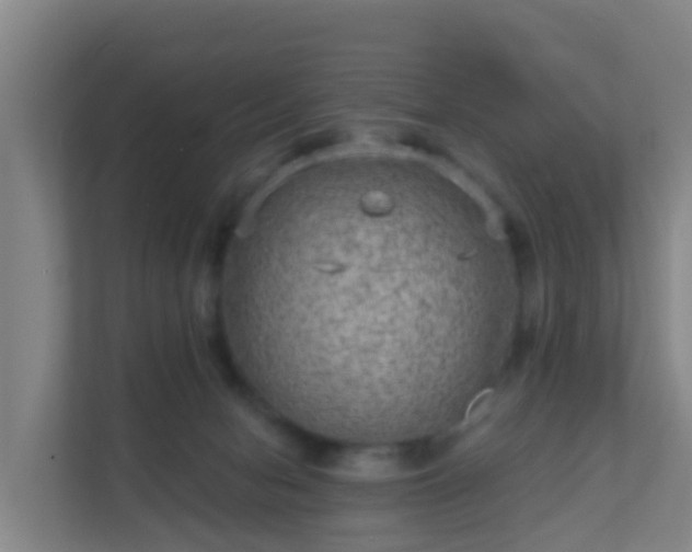 X0000111640078200907241119