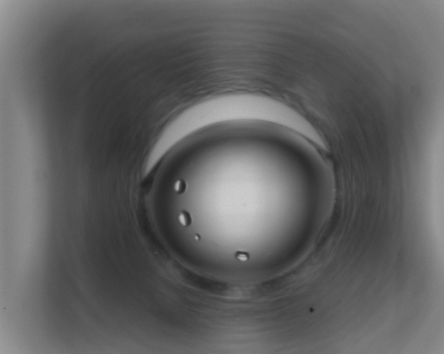 X0000111640080200907241119