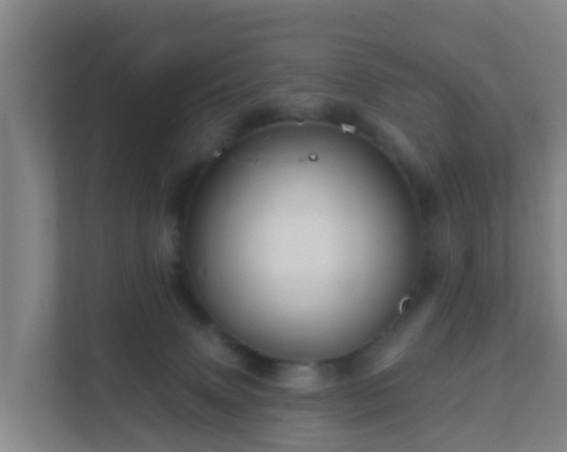 X0000111640083200907241119