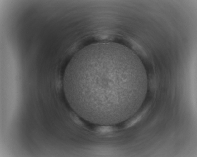 X0000111640085200907241119