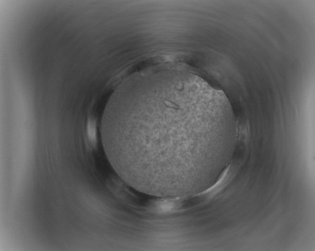 X0000111640094200907241120