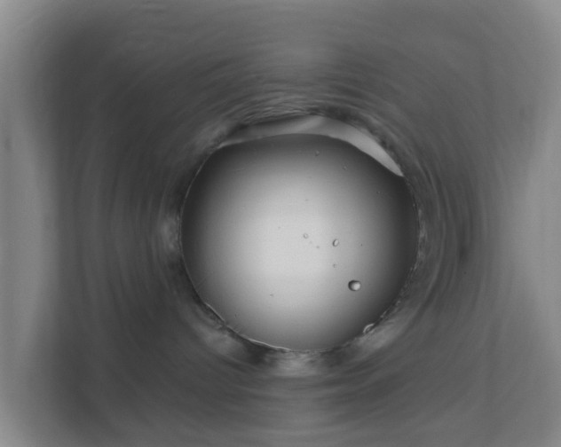 X0000111640096200907241120