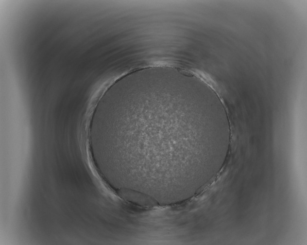 X0000111640097200907241119